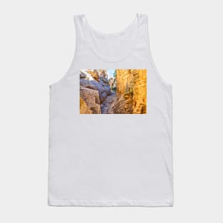 Lick Wash Trail Hike Tank Top